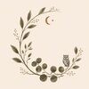 thenovemberowl
